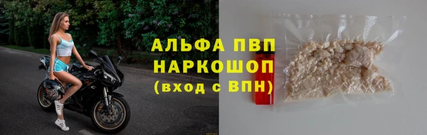 ГАЛЛЮЦИНОГЕННЫЕ ГРИБЫ Иннополис