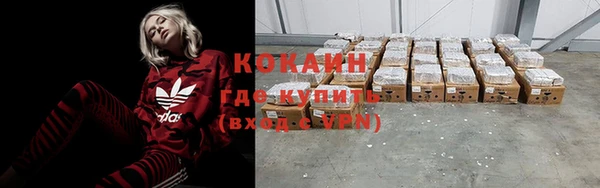 ГАЛЛЮЦИНОГЕННЫЕ ГРИБЫ Иннополис