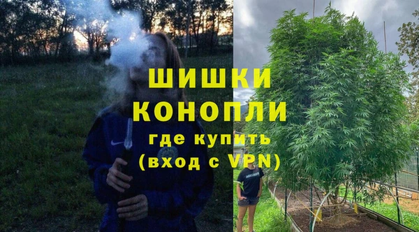 ГАЛЛЮЦИНОГЕННЫЕ ГРИБЫ Иннополис