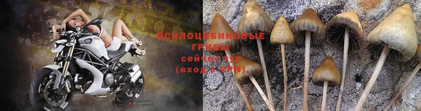 ГАЛЛЮЦИНОГЕННЫЕ ГРИБЫ Иннополис
