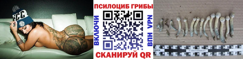 Псилоцибиновые грибы мицелий  Купить закладки  Добрянка 